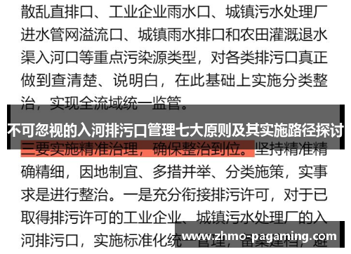 不可忽视的入河排污口管理七大原则及其实施路径探讨